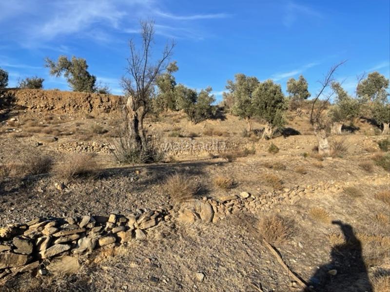 Foto a5268d31-6bca-4b08-939b-94ed04a485fa. Finca rústica a Abla