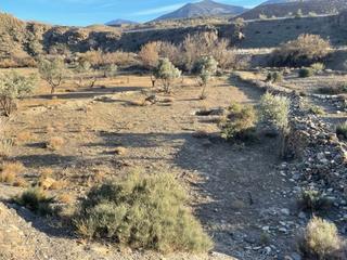 Finca rústica a Abla. Se vende parcela en abla, ideal para pastores