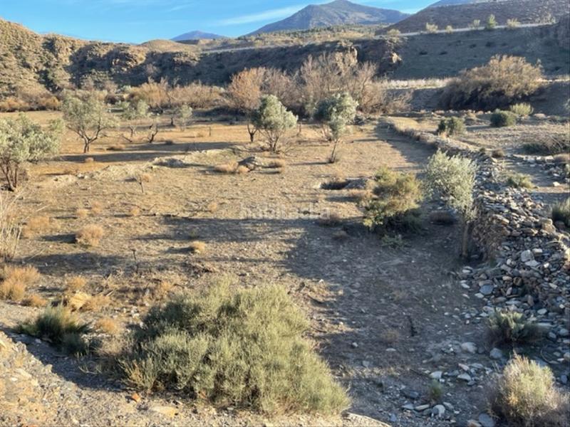 Foto c3e8f1ba-b563-44d3-af01-255c766eac1a. Finca rústica a Abla