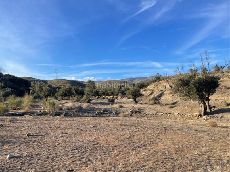 Foto ca671ddc-818f-4780-aabc-3e8bb83d478c. Finca rústica a Abla