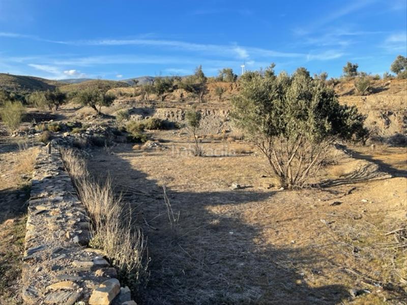 Foto cb8394aa-32c1-4e32-9d1c-4f8d780959b1. Finca rústica a Abla
