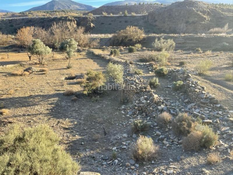 Foto f7f225e0-f0c3-4efe-b7cb-f5fc934a549b. Finca rústica a Abla