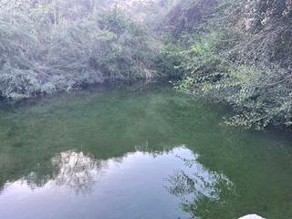 Finca rústica a E ibañez 30. Parcela en venta con cortijo en venta en alhama