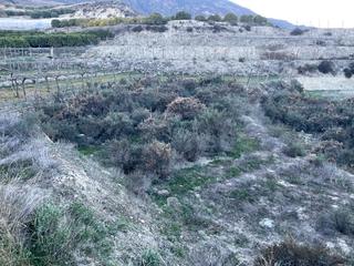 Finca rústica a Calle taha de marchena 13. Huecija . parcela en venta rustica