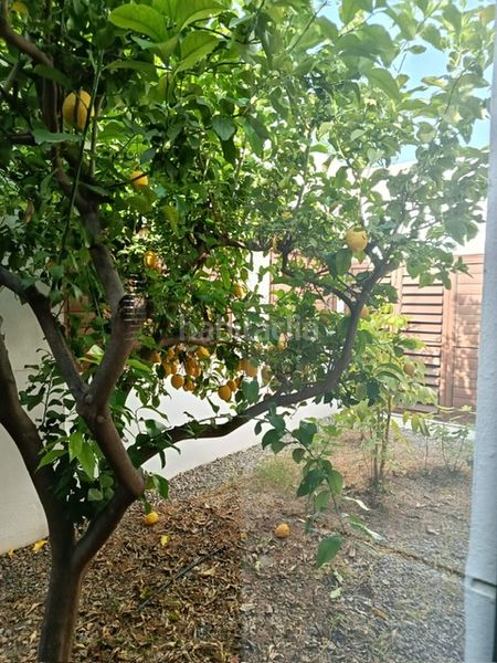 Foto ea27f4c4-8bb3-4879-bd6c-d6c5a0eadc04. Chalet in avenida de la paz 9 in Rágol