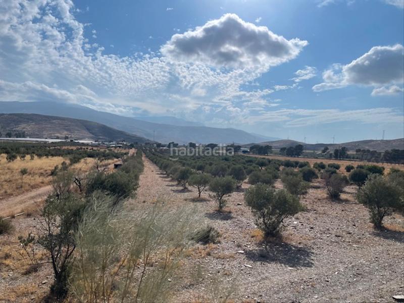 Foto 7722701c-c545-403c-a39b-213d2784e707. Finca rústica a n/a a Nacimiento