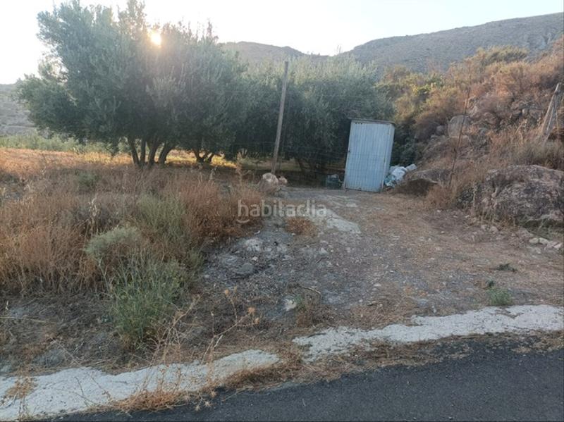 Foto 4ef5533d-f1a9-4223-b368-86653a7a3450. Finca rústica en calle la fuente 2 alicun pueblo a 20 minutos de almeria. en Alicún