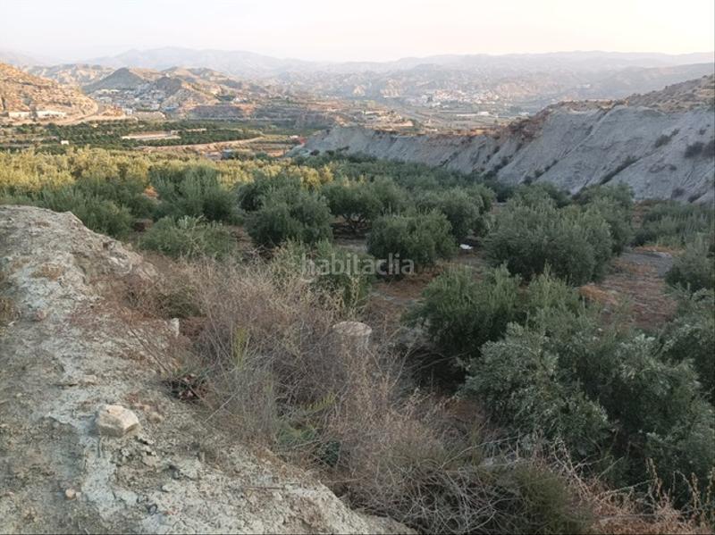 Foto a638527c-0285-4fd8-821b-ef1b25680a98. Finca rústica en calle la fuente 2 alicun pueblo a 20 minutos de almeria. en Alicún