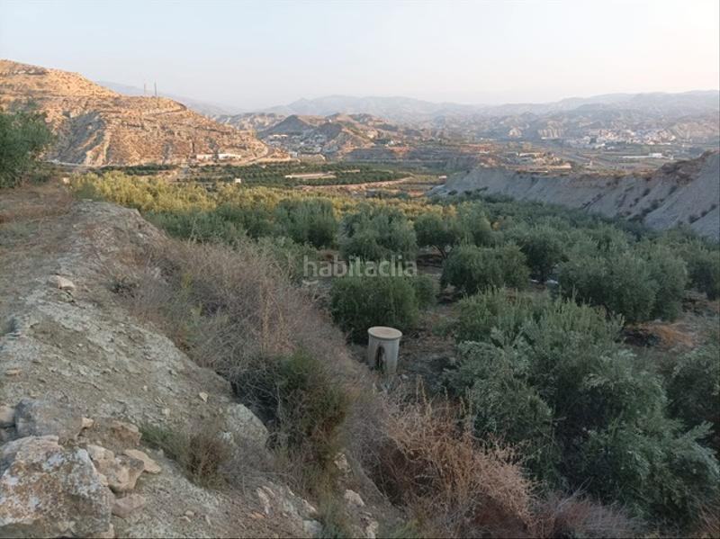 Foto aca0f205-a64c-44b1-90a8-35747ceaebbe. Finca rústica en calle la fuente 2 alicun pueblo a 20 minutos de almeria. en Alicún