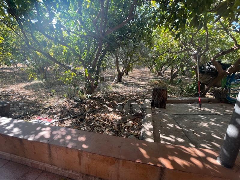 Foto 7aa8193c-b7fc-4d44-9439-11d64d01d227. Finca rústica a Íllar