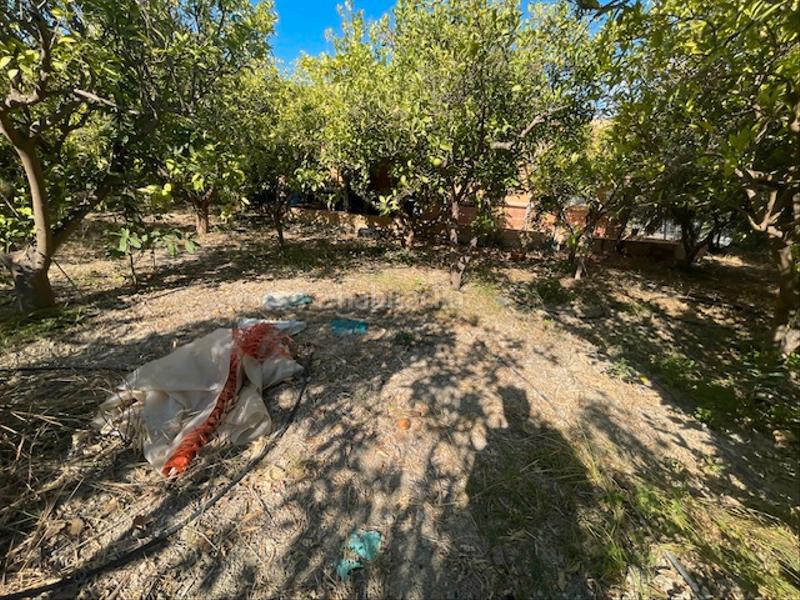 Foto 9ea9581f-c5fa-4de6-a6e9-e8c60dde7af6. Finca rústica a Íllar