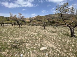 Rural plot in Alcudia de Monteagud. Finca de recreo con opcion a caza alcudia y benizalon