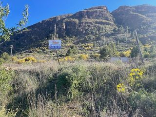 Finca rústica a Paraje los Molinicos 1