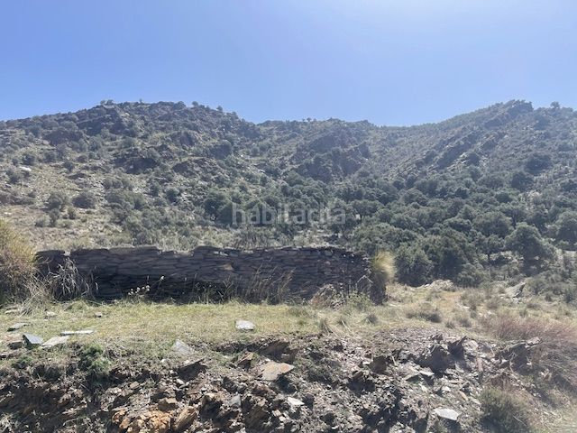 Foto 67a01772-d771-4015-86e2-76ce0d23f291. Finca rústica a plaza filabres 8 a Bacares