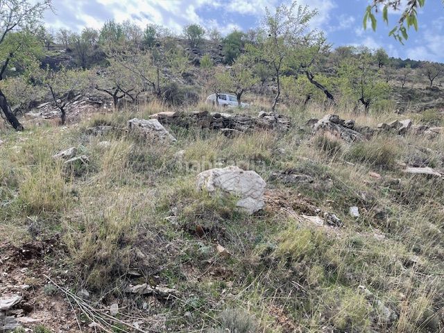 Foto 68842c78-ab1b-426b-bb94-d7a1885e42c9. Finca rústica a plaza filabres 8 a Bacares