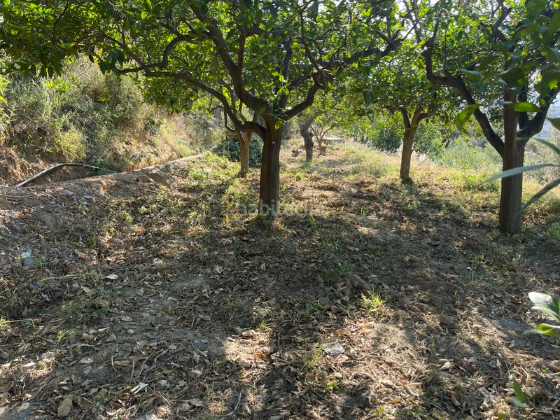 Foto 71a30b1d-1e0c-4aee-9e8a-d40de8400073. Finca rústica a calle pollo 6 a Alicún