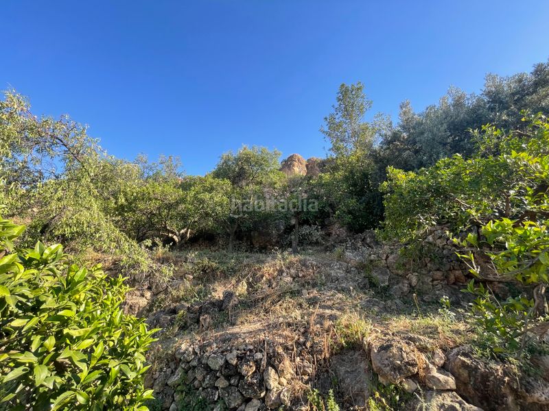 Foto fe829577-9806-4345-8dc0-ea6632711be7. Finca rústica a calle pollo 6 a Alicún