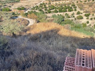 Landgut  Calle la fuente. Venta de parcela en alicun con buenas vistas