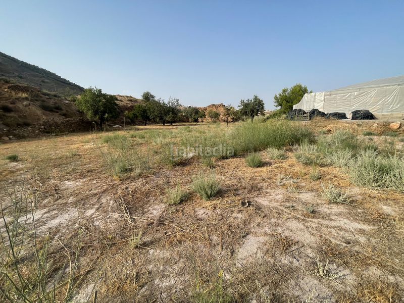 Foto ebf77d8d-888e-4aff-baa7-bee58f51e71b. Finca rústica a n/a a Alhama de Almería