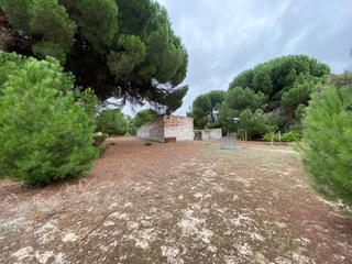 Finca rústica a Plaza descubrimiento 4. Grupo integra, parcela en venta en ctra las maricas frente urban