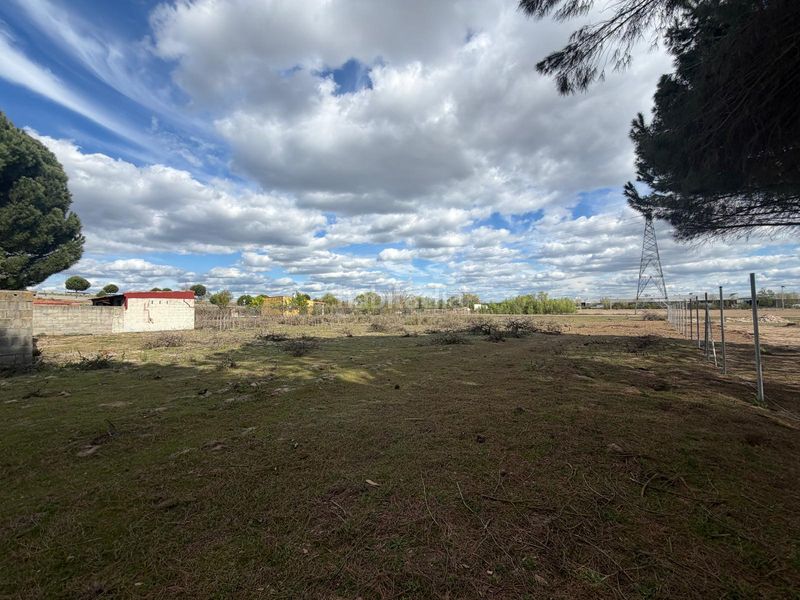 Foto 0898ba53-1528-485f-9f8b-127c50ac16e6. Finca rústica a Aldeamayor de San Martín