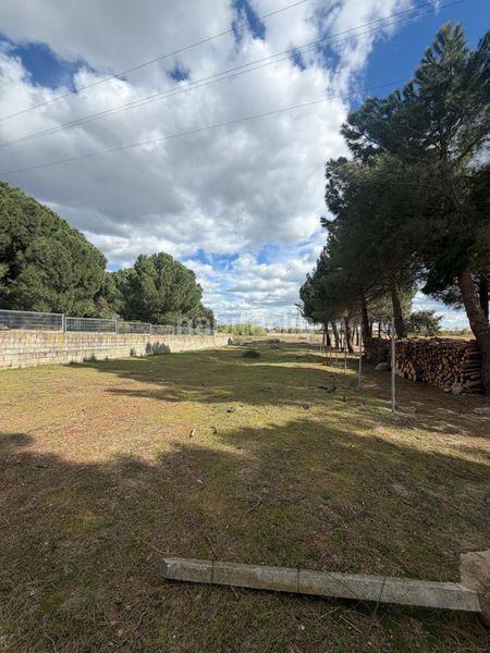 Foto 86a55122-70af-4a61-8e73-02a811f0dff3. Finca rústica a Aldeamayor de San Martín