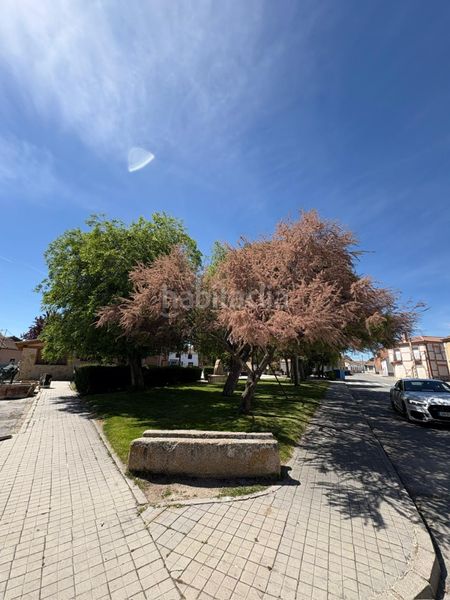 Foto a5b5ee8d-ed11-48b8-ad55-83495c02e9cd. Masia a calle real 23 a Muñopedro