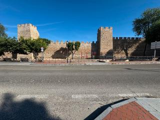 Propriété à Carretera medina campo 11. Grupo integra, terreno en venta para huerta o merendero junto a