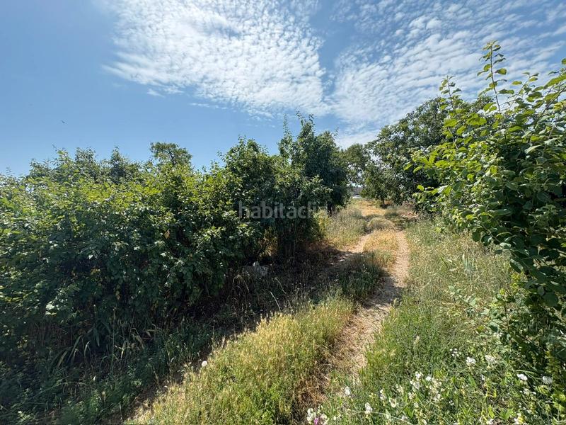 Foto 27d46b86-936e-4737-afed-628dc5dca0f0. Chalet en travesía palacios 7 panaderos valladolid inmobi, chalet individual en vezdemarban con posibilidad de piscina por 20.000€ a mayores del precio de venta en Vezdemarbán