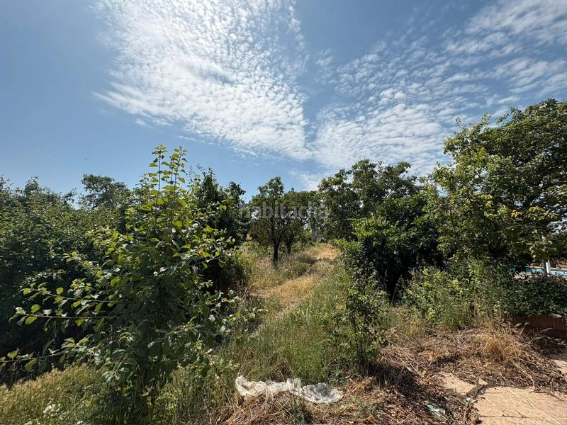 Foto 6f53a458-e275-4f14-bb33-e3a056754a14. Chalet en travesía palacios 7 panaderos valladolid inmobi, chalet individual en vezdemarban con posibilidad de piscina por 20.000€ a mayores del precio de venta en Vezdemarbán