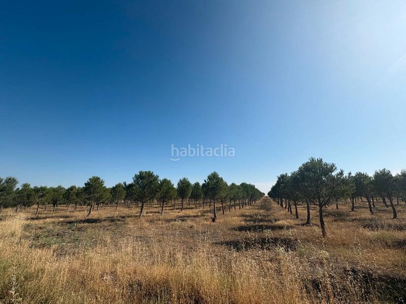 Foto 3a1246fe-cbd2-42f1-8116-16f618061a66. Finca rústica a n/a a Cogeces del Monte