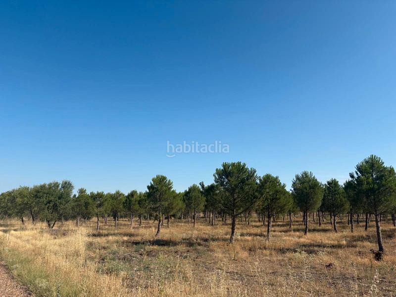 Foto 59a915ba-9e9f-4613-991c-c469fb314787. Finca rústica a n/a a Cogeces del Monte