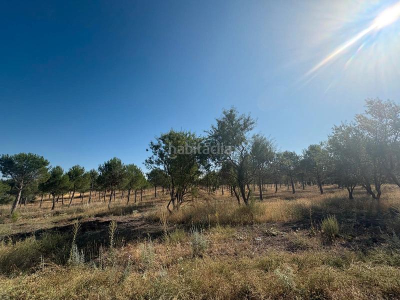 Foto a2f2f314-53a7-4fa0-818e-62a9d817d330. Finca rústica a n/a a Cogeces del Monte