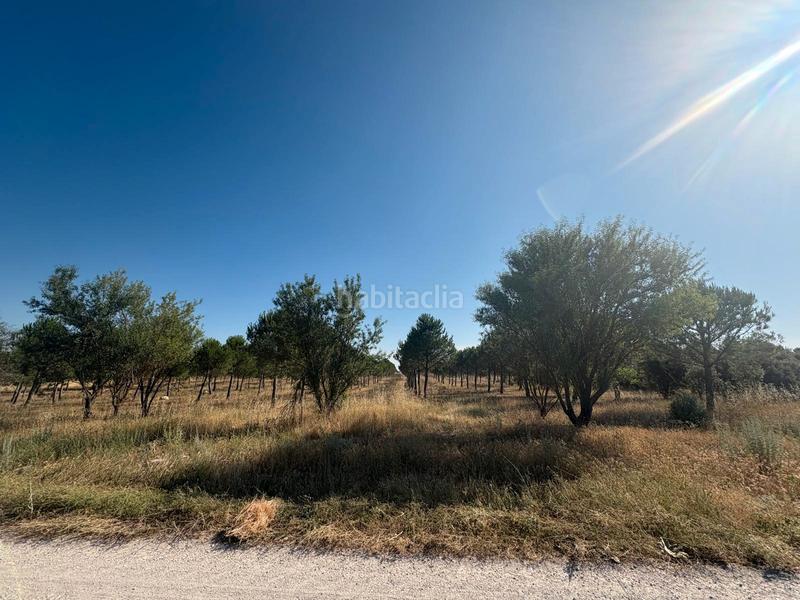 Foto a322f360-e56a-4d33-b633-6c9755437f17. Finca rústica a n/a a Cogeces del Monte