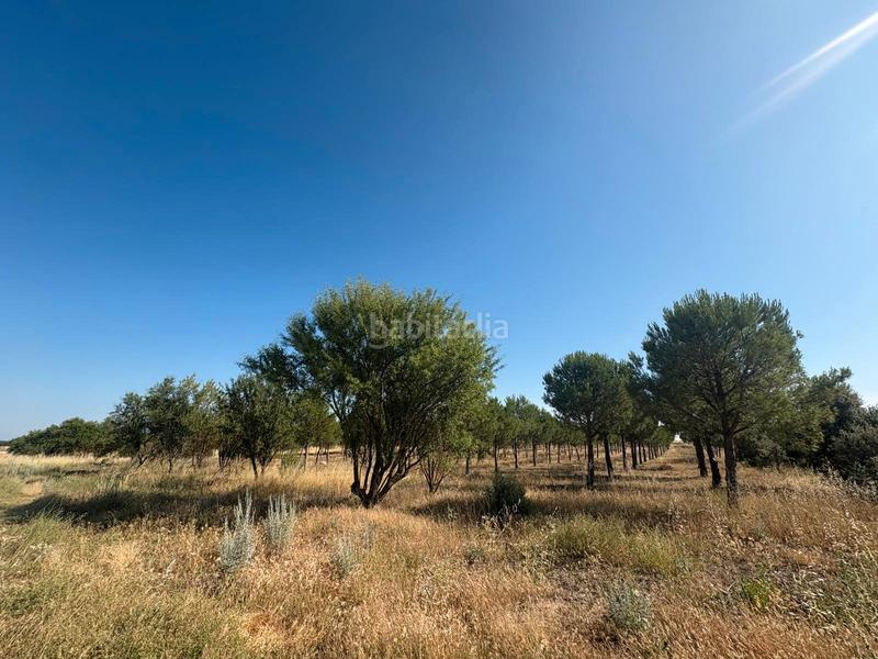 Foto e82d7e41-61bf-450b-a0cb-c57a05c4a36f. Finca rústica a n/a a Cogeces del Monte