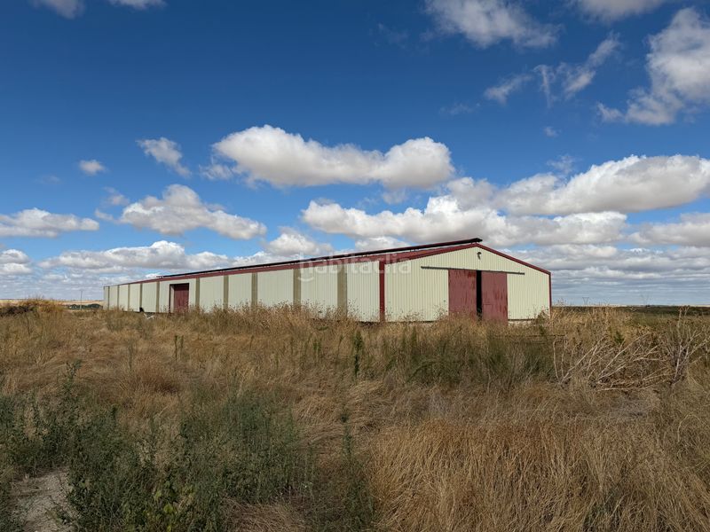 Foto 4c2d3e19-2049-4305-a33b-eca2213fa659. Industrial building in n/a in Sangarcía