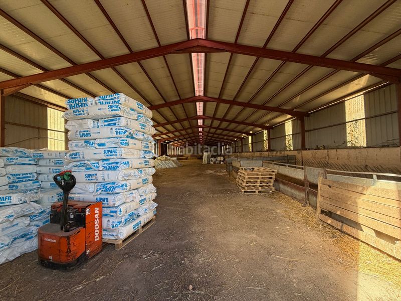 Foto e35d7559-7421-4712-ab38-01c68e2ea863. Industrial building in n/a in Sangarcía