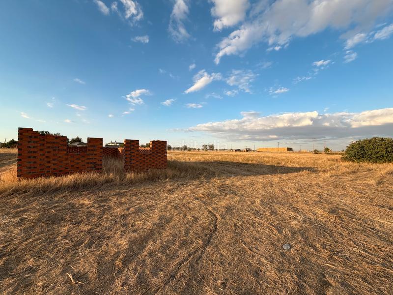 Foto 0521930e-9a83-41c3-8671-103696e32e93. Solar industrial a camino brahojos 5 a Carpio