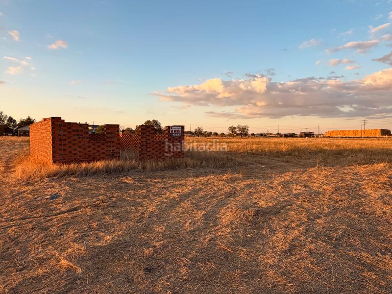 Foto 3e0041ca-0562-4063-8f41-82489e0ce806. Solar industrial a camino brahojos 5 a Carpio