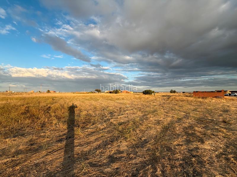 Foto 420f21f0-8e39-4799-9066-88b895beb696. Solar industrial a camino brahojos 5 a Carpio