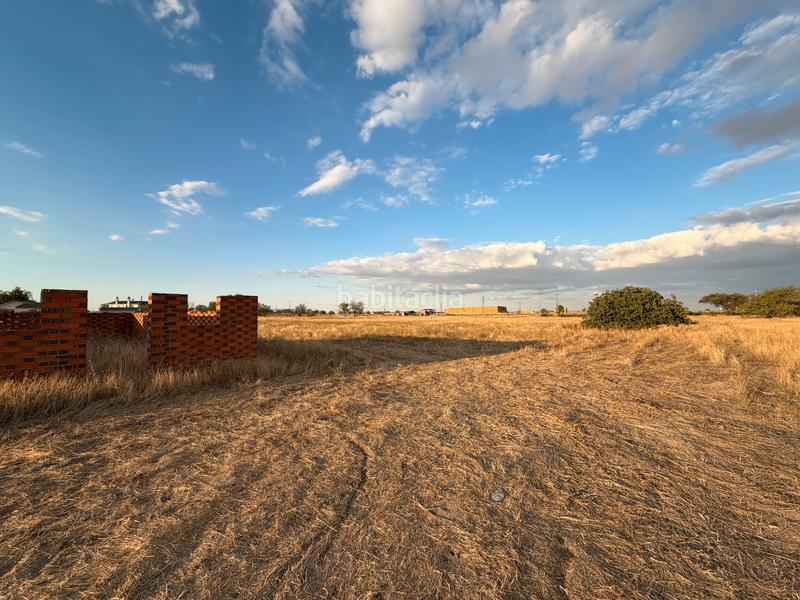 Foto 513f9196-2ef3-4159-b979-a0987ec6e68f. Solar industrial a camino brahojos 5 a Carpio