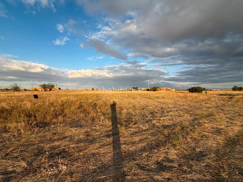 Foto 73e58da2-0226-47d7-9176-afe3607ce54a. Solar industrial a camino brahojos 5 a Carpio