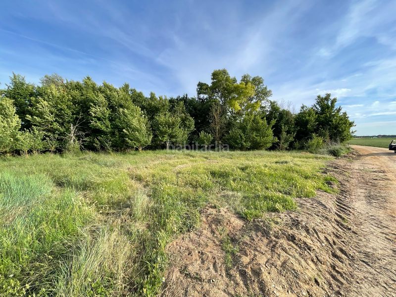 Foto 8dfff02f-2b7a-49fc-8d29-f3cc8e09b045. Finca rústica a Tordesillas