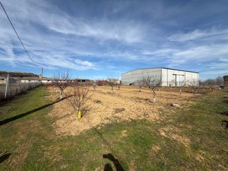 Fondo rustico  Va-524. Panaderos valladolid, huerto en venta en tordehumos de 3.400m2