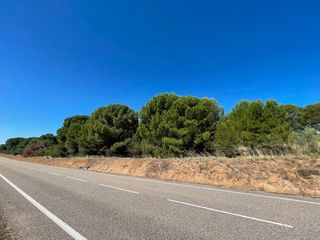 Rural plot in N/a. Panaderos valladolid, pinar en venta en cascon-nava del rey.