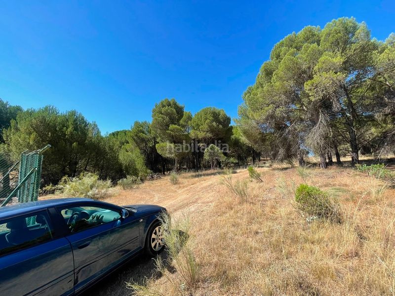 Foto cd795293-43f2-4269-b52a-77d66d18b69a. Finca rústica a n/a a Nava del Rey