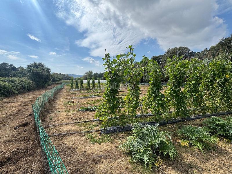 Foto 2df87881-ed92-4f20-af04-bbc7d86bfafb. Mas dans avinguda sant daniel 43 dans Mas Mora-Sant Daniel Tordera