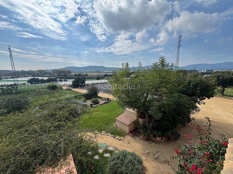 Foto c43af550-24b6-4932-8f75-7642e9f79e3d. Mas dans avinguda sant daniel 43 dans Mas Mora-Sant Daniel Tordera