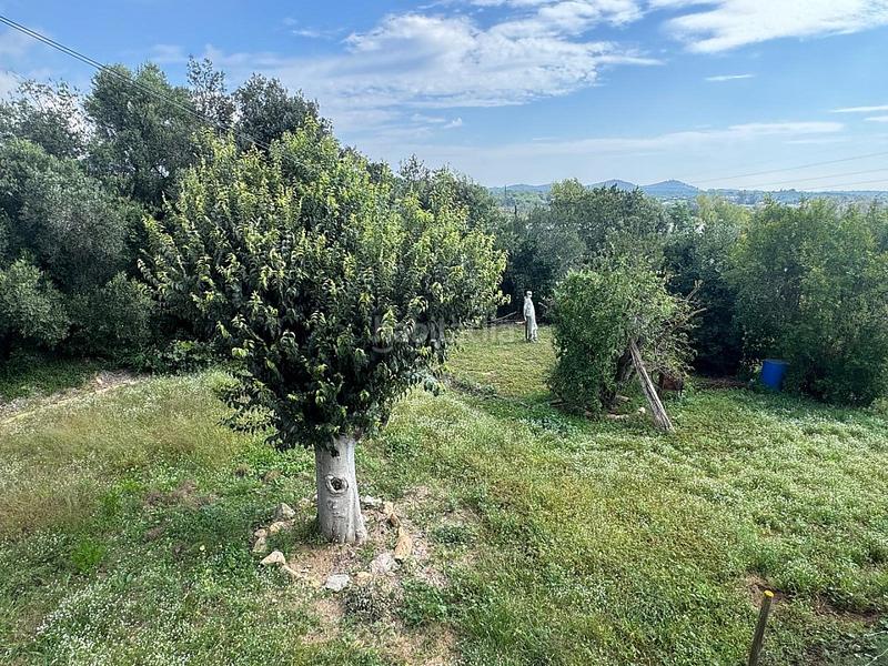 Foto d793795c-f331-4413-9190-f0cc6c2479c3. Mas dans avinguda sant daniel 43 dans Mas Mora-Sant Daniel Tordera