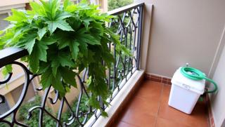 Piso en Carrer de verdaguer i callís 14. Piso en venta en born, sant pere, sta. caterina i la ribera
